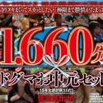 「ddtj00002 【お中元セット】ドグマ グレートバリューお中元セット」のサムネイル画像