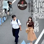 「h_1435clo00191 豚鼻肉便器 都内引き回しの刑 森沢かな」のサムネイル画像